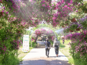 Goyang Flower Festival : le festival des amoureux de fleurs et plantes en tout genre